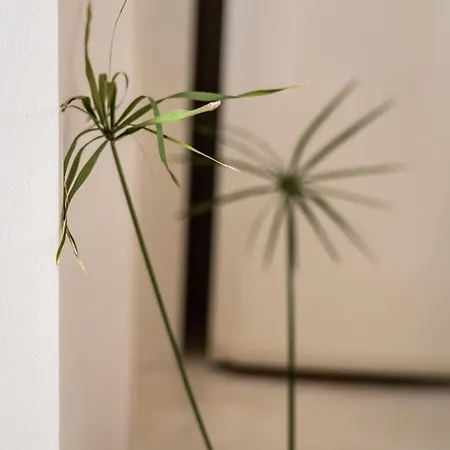 Casa Piccadilly Sobral (Leiria)